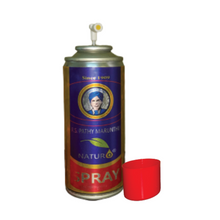 Load image into Gallery viewer, R. S. Pathy Marunthu Naturo Spray 100 ml (Refill Pack for Dispenser)